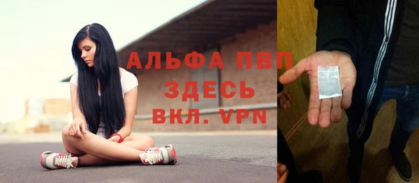 гашиш Богданович