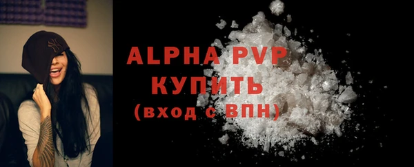 гашиш Богданович