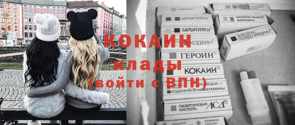 бошки Нея