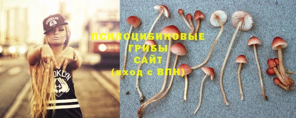 гашиш Богданович