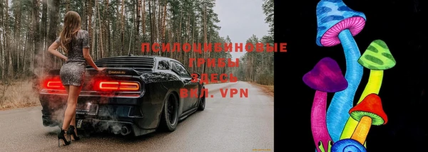 гашиш Богданович