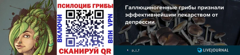 цена   Белый  Псилоцибиновые грибы прущие грибы 